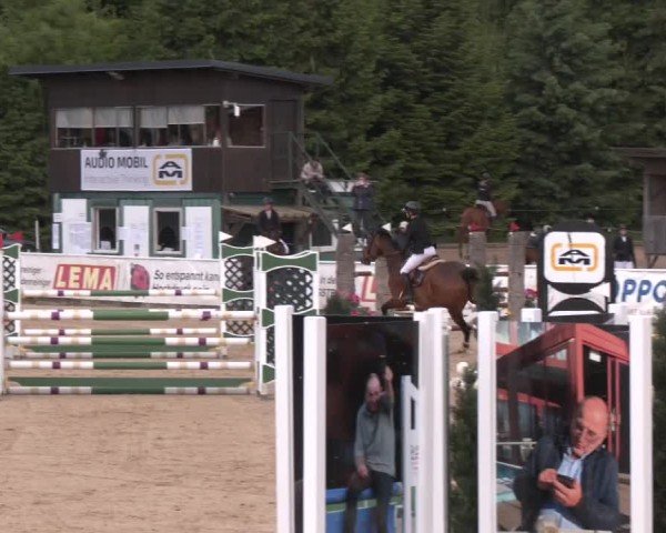 Reitturnier Ranshofen - Braunau am Inn 2025