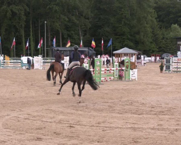 Reitturnier Ranshofen - Braunau am Inn 2025