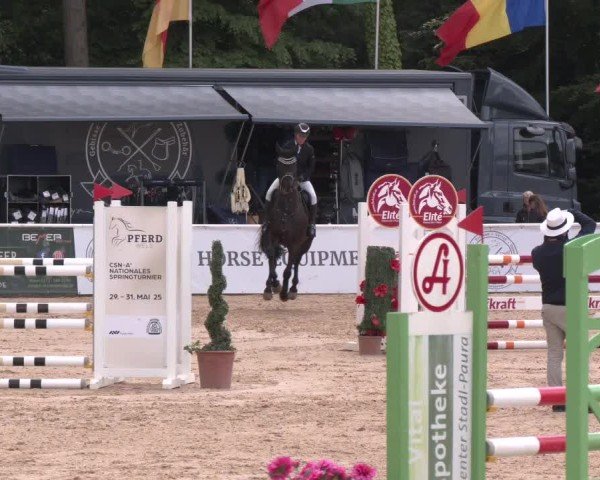 Reitturnier Ranshofen - Braunau am Inn 2025