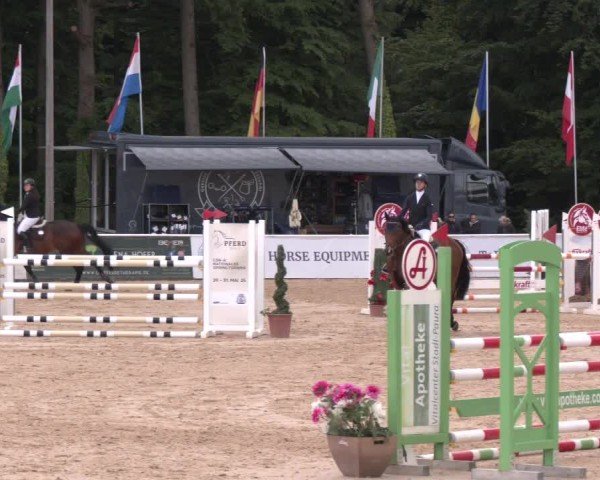 Reitturnier Ranshofen - Braunau am Inn 2025