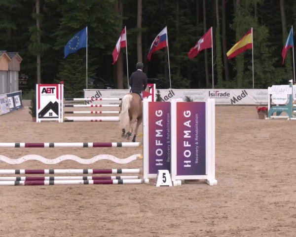 Reitturnier Ranshofen - Braunau am Inn 2025
