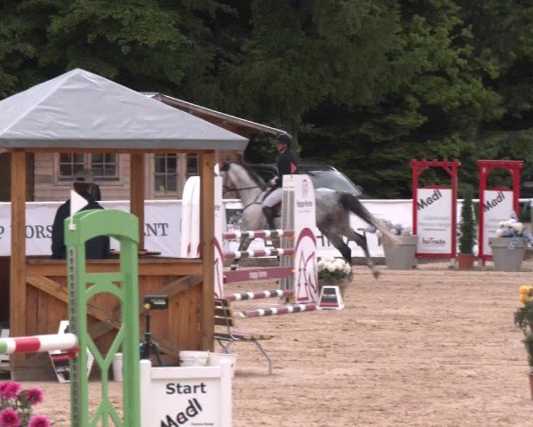 Reitturnier Ranshofen - Braunau am Inn 2025
