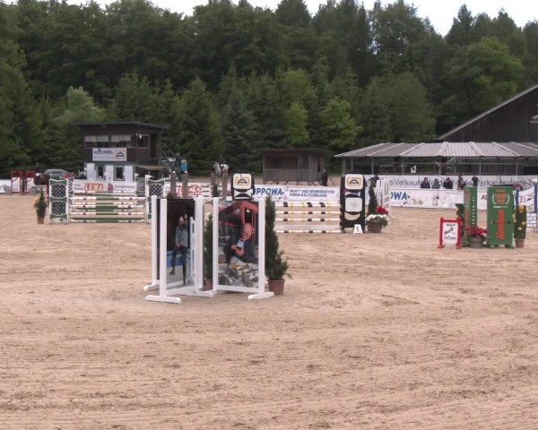 Reitturnier Ranshofen - Braunau am Inn 2025