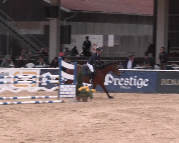 Reitturnier Ranshofen - Braunau am Inn 2025