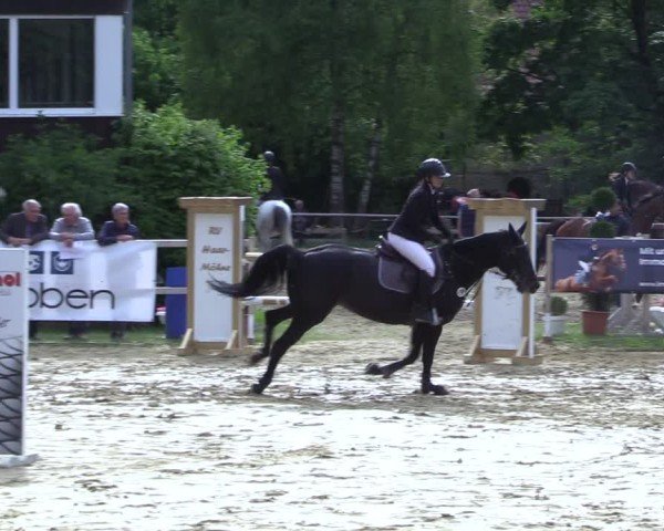 Reitturnier Niederbergheim 2025