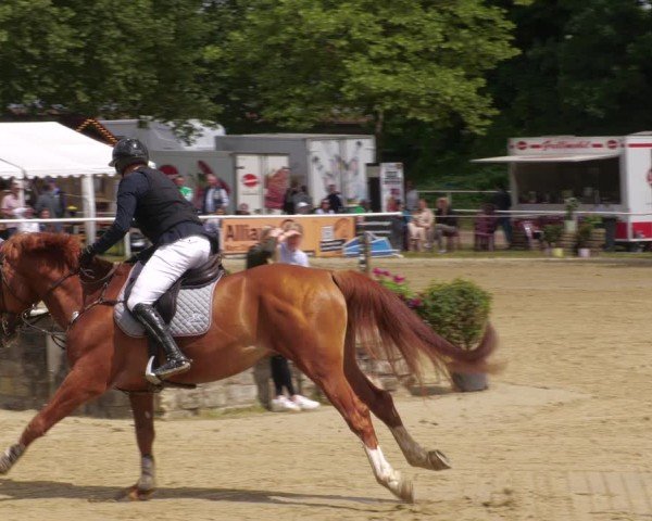 Reitturnier Heiligenwald 2025