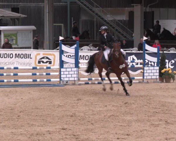 Reitturnier Ranshofen - Braunau am Inn 2025