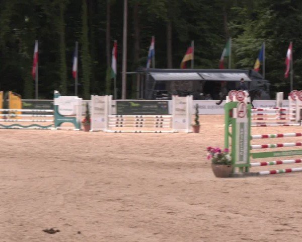 Reitturnier Ranshofen - Braunau am Inn 2025