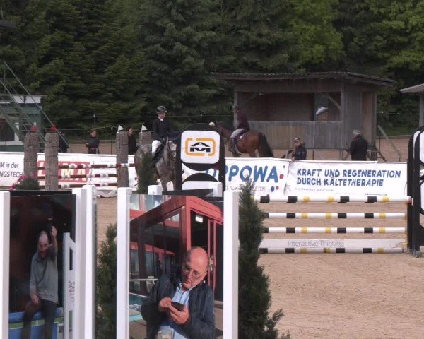 Reitturnier Ranshofen - Braunau am Inn 2025