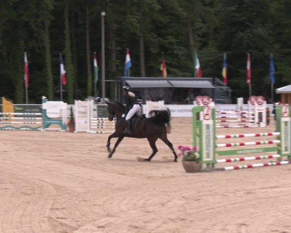 Reitturnier Ranshofen - Braunau am Inn 2025