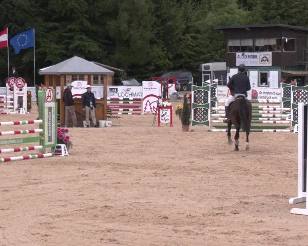 Reitturnier Ranshofen - Braunau am Inn 2025