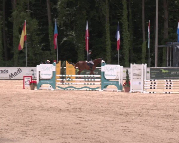 Reitturnier Ranshofen - Braunau am Inn 2025
