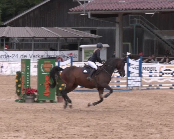 Reitturnier Ranshofen - Braunau am Inn 2025