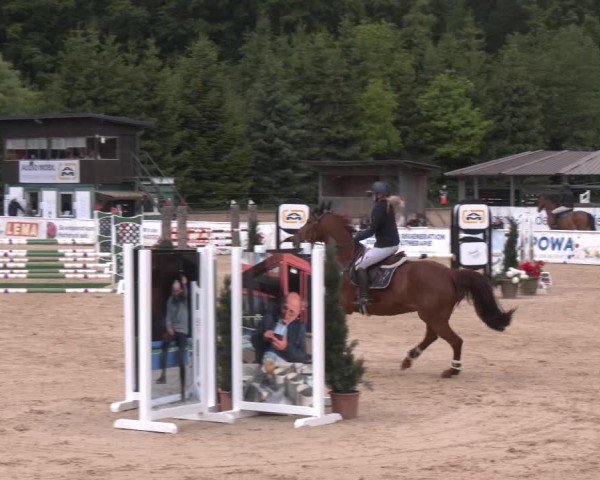 Reitturnier Ranshofen - Braunau am Inn 2025