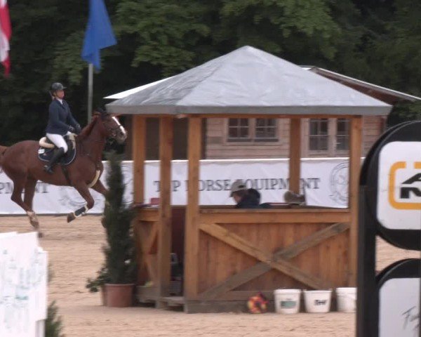 Reitturnier Ranshofen - Braunau am Inn 2025