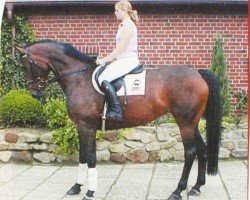 jumper Chila (Oldenburg, 1999, from Coupon)