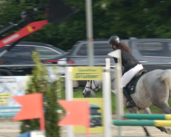 Reitturnier Winnenden 2025