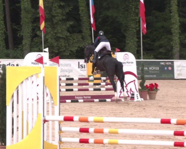 Reitturnier Ranshofen - Braunau am Inn 2025