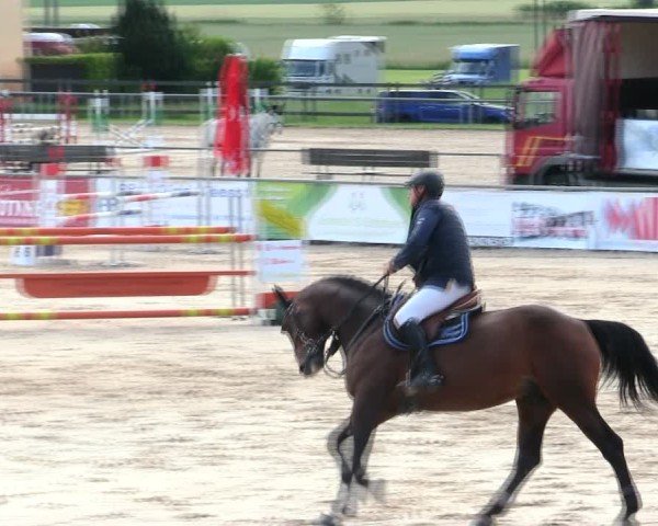 Reitturnier Mallersdorf-Pfaffenberg/Ndb. 2025