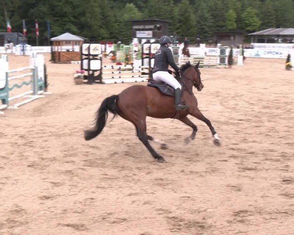 Reitturnier Ranshofen - Braunau am Inn 2025