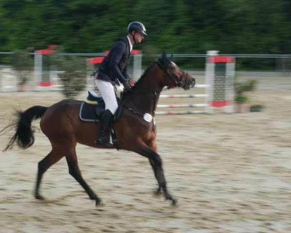 Reitturnier Winnenden 2025