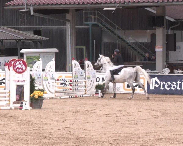 Reitturnier Ranshofen - Braunau am Inn 2025