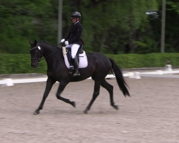 Reitturnier Müncheberg 2025
