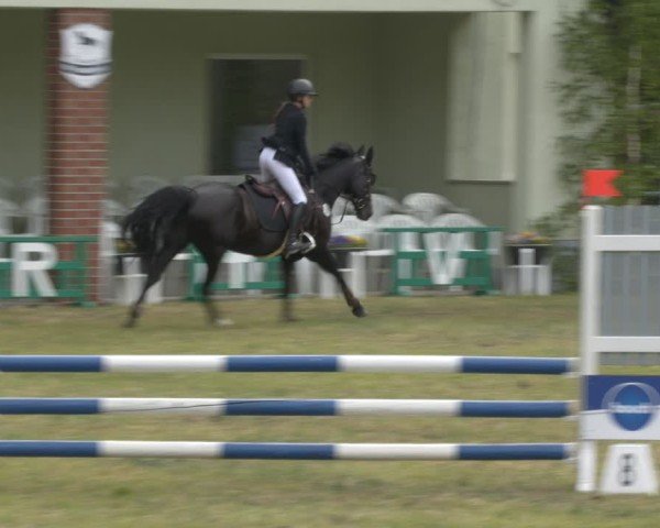 Reitturnier Massen 2025