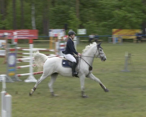 Reitturnier Massen 2025