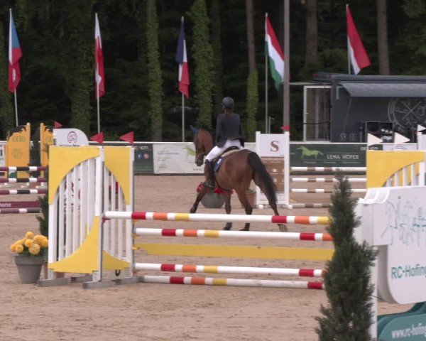 Reitturnier Ranshofen - Braunau am Inn 2025