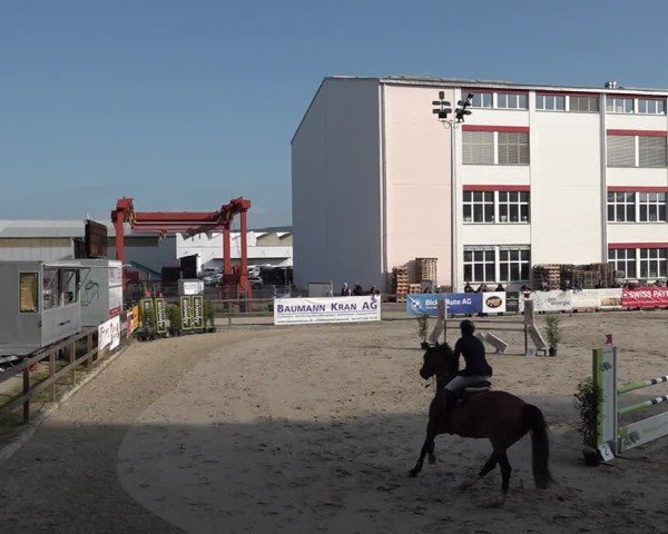 Reitturnier Sulgen 2025