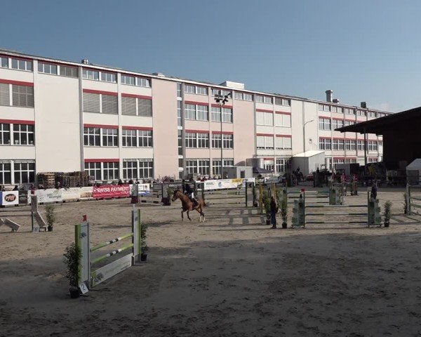 Reitturnier Sulgen 2025