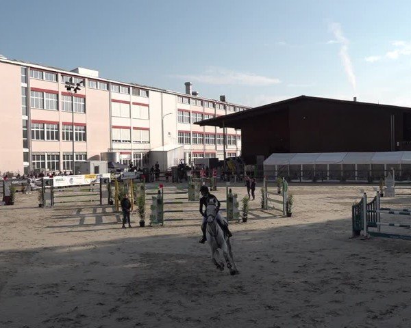 Reitturnier Sulgen 2025