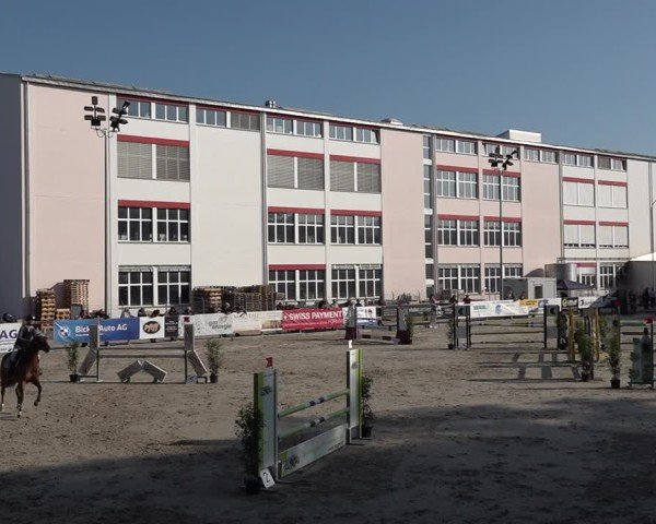 Reitturnier Sulgen 2025