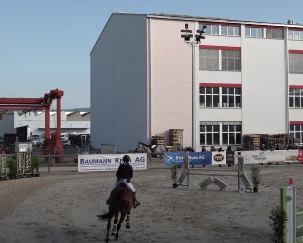 Reitturnier Sulgen 2025