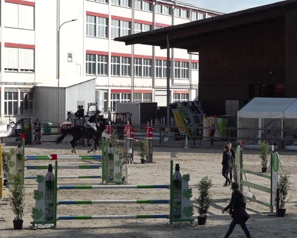 Reitturnier Sulgen 2025