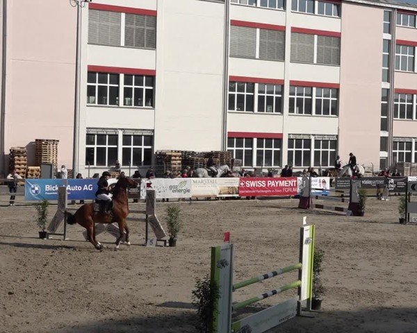 Reitturnier Sulgen 2025