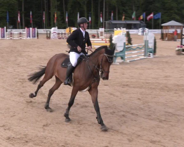 Reitturnier Ranshofen - Braunau am Inn 2025