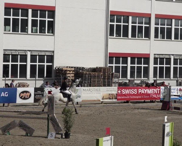 Reitturnier Sulgen 2025