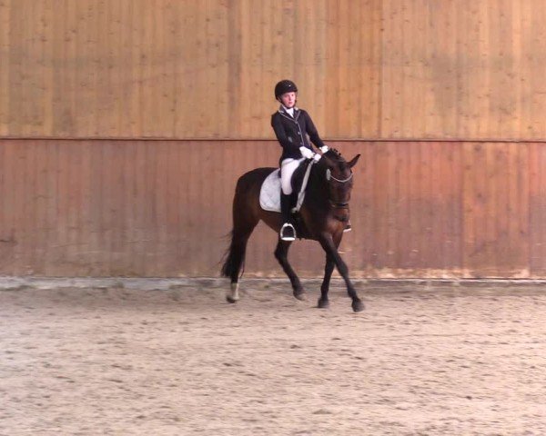 Reitturnier Risum-Lindholm 2025