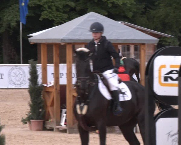 Reitturnier Ranshofen - Braunau am Inn 2025