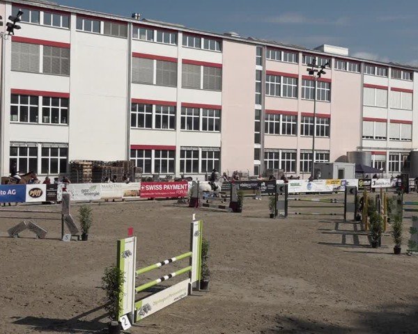 Reitturnier Sulgen 2025