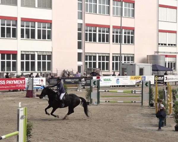 Reitturnier Sulgen 2025