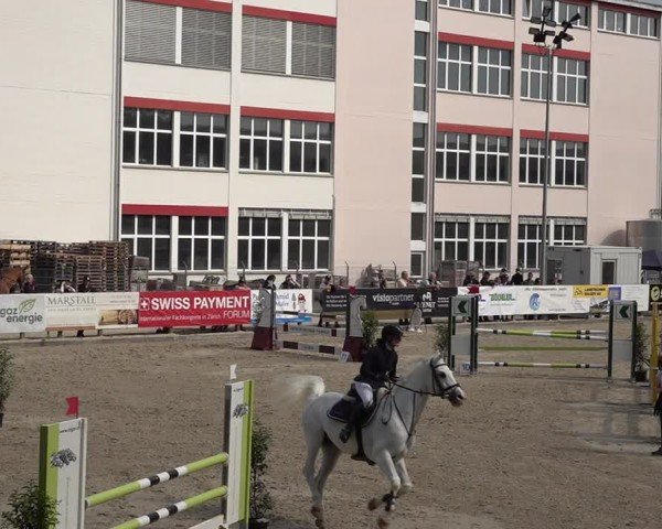 Reitturnier Sulgen 2025