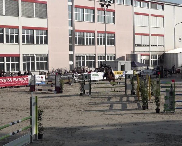 Reitturnier Sulgen 2025