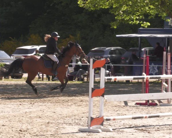 Reitturnier Heiligenwald 2025