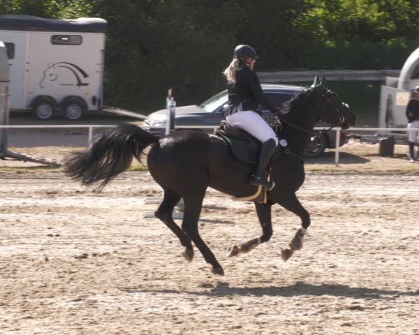 Reitturnier Heiligenwald 2025