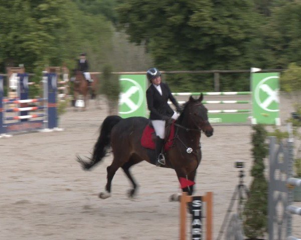 Reitturnier Erkrath - Uhlenhof 2025