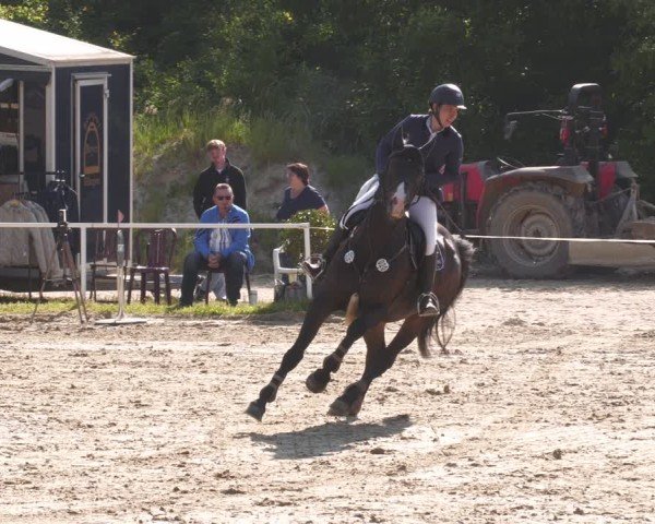Reitturnier Heiligenwald 2025