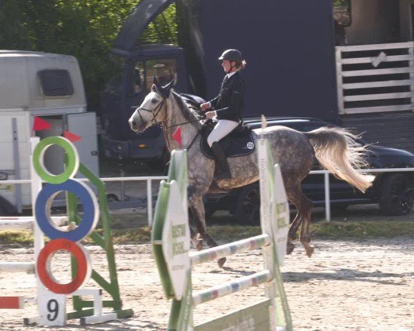 Reitturnier Heiligenwald 2025